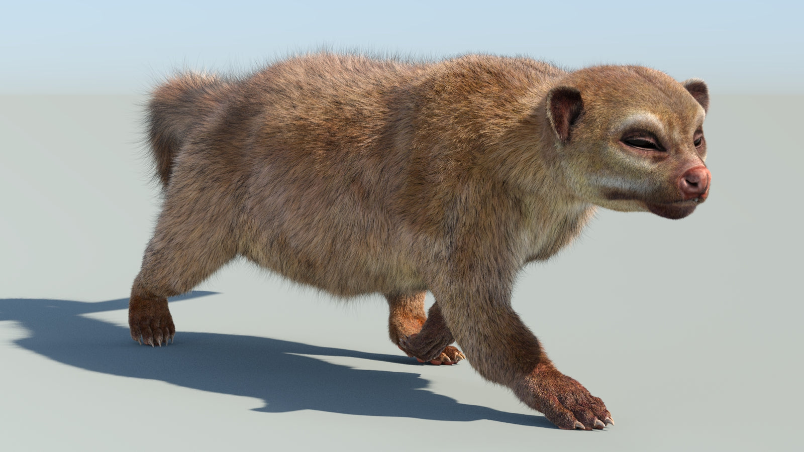 Realistic Kinkajou 3D Model Animated Fur 360° view 6 frame 19