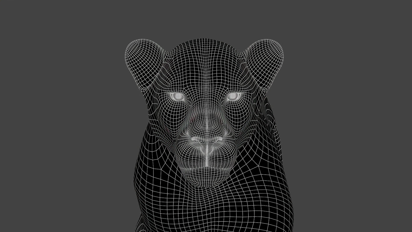 Close-Up of Subdivided Wireframe on Realistic 3D Lion Model – Smooth Topology Detail