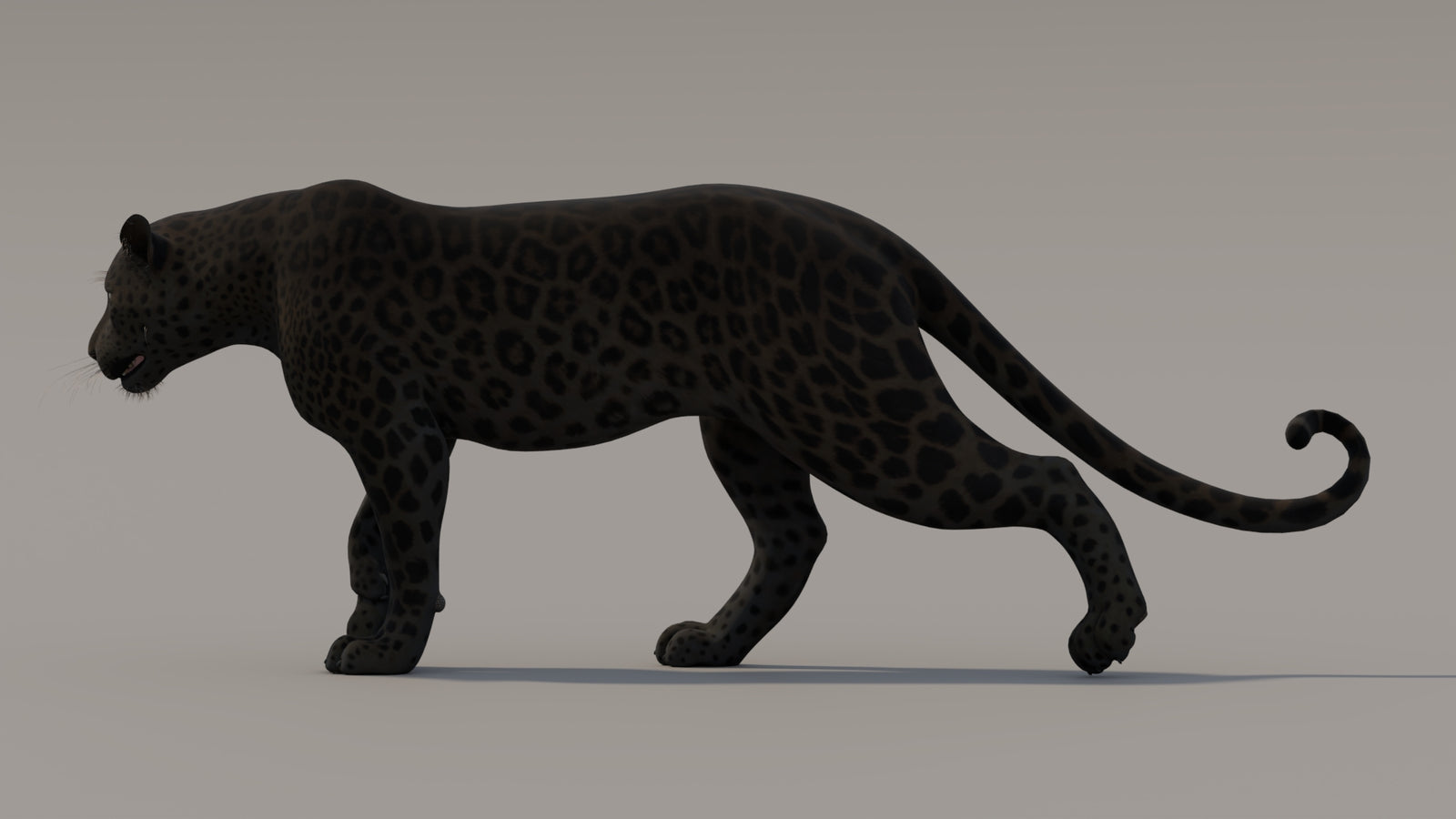 Animated Black Panther 3D Model 360° view 3 frame 2