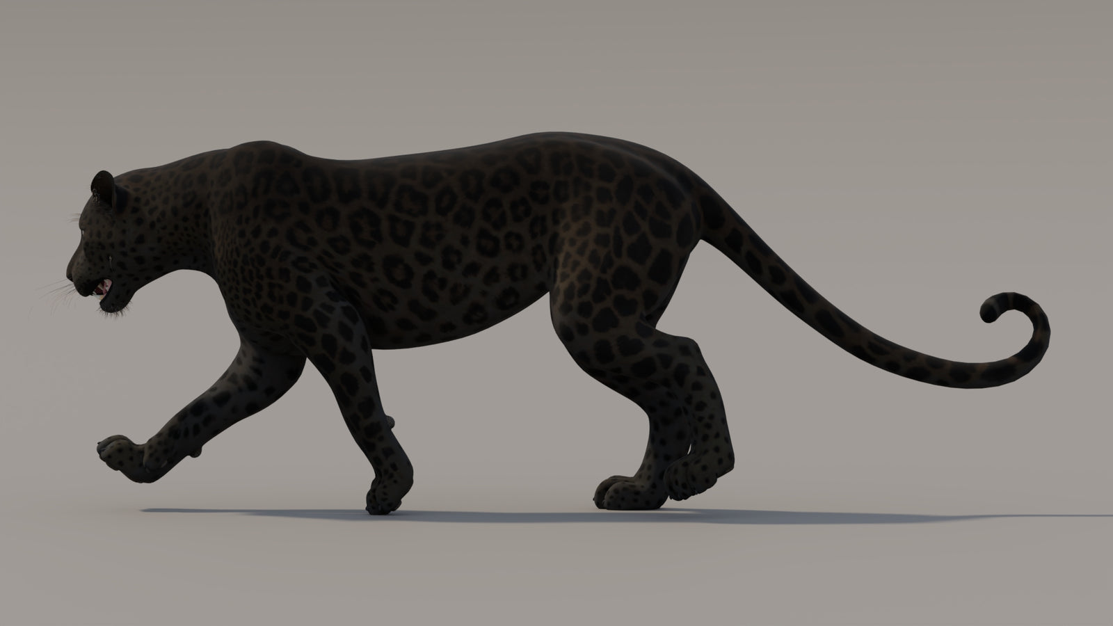 Animated Black Panther 3D Model 360° view 3 frame 7