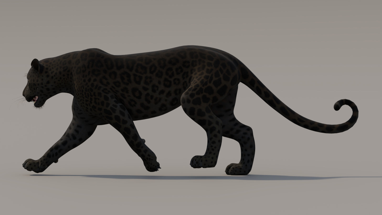 Animated Black Panther 3D Model 360° view 3 frame 11