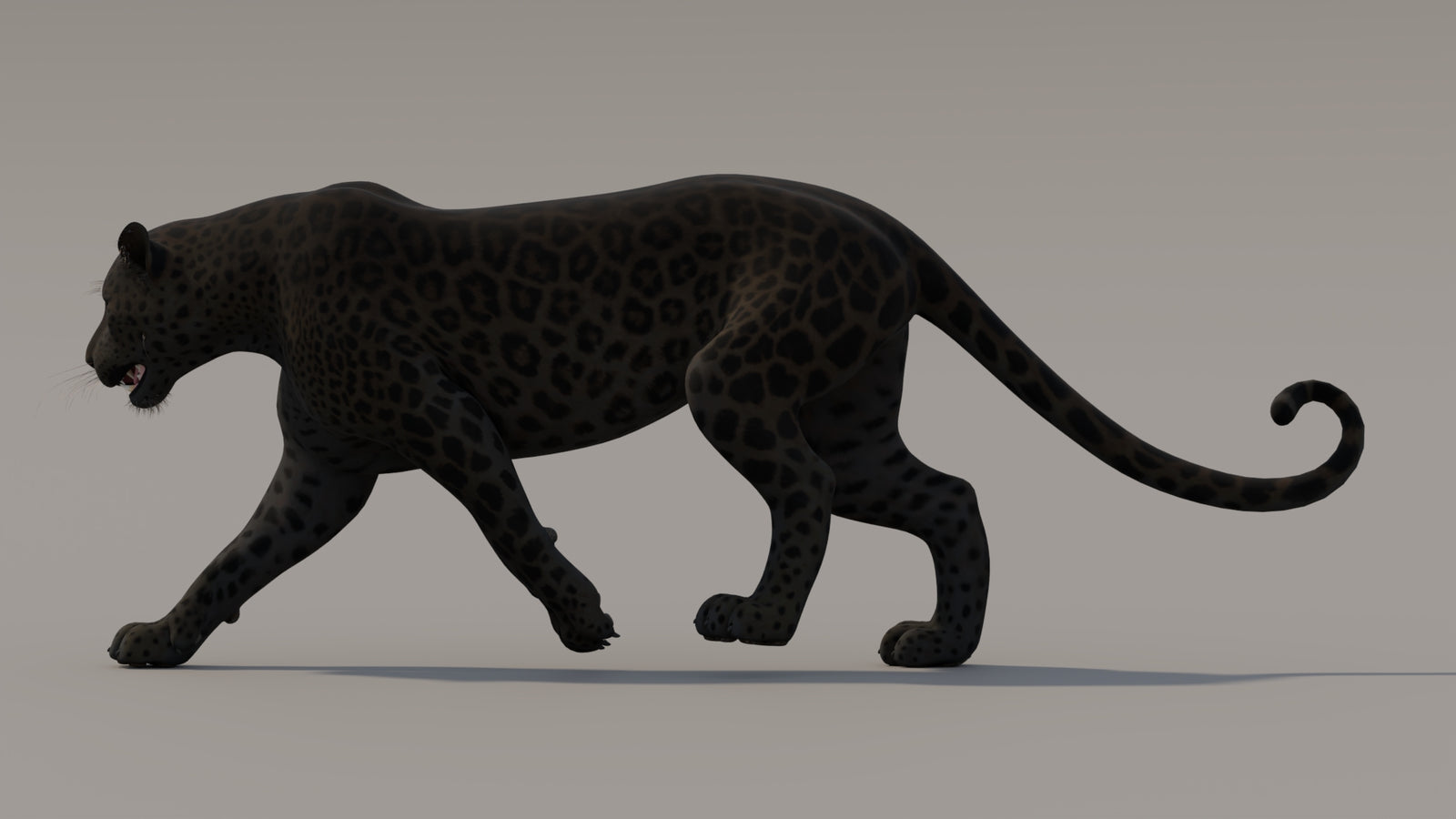 Animated Black Panther 3D Model 360° view 3 frame 12
