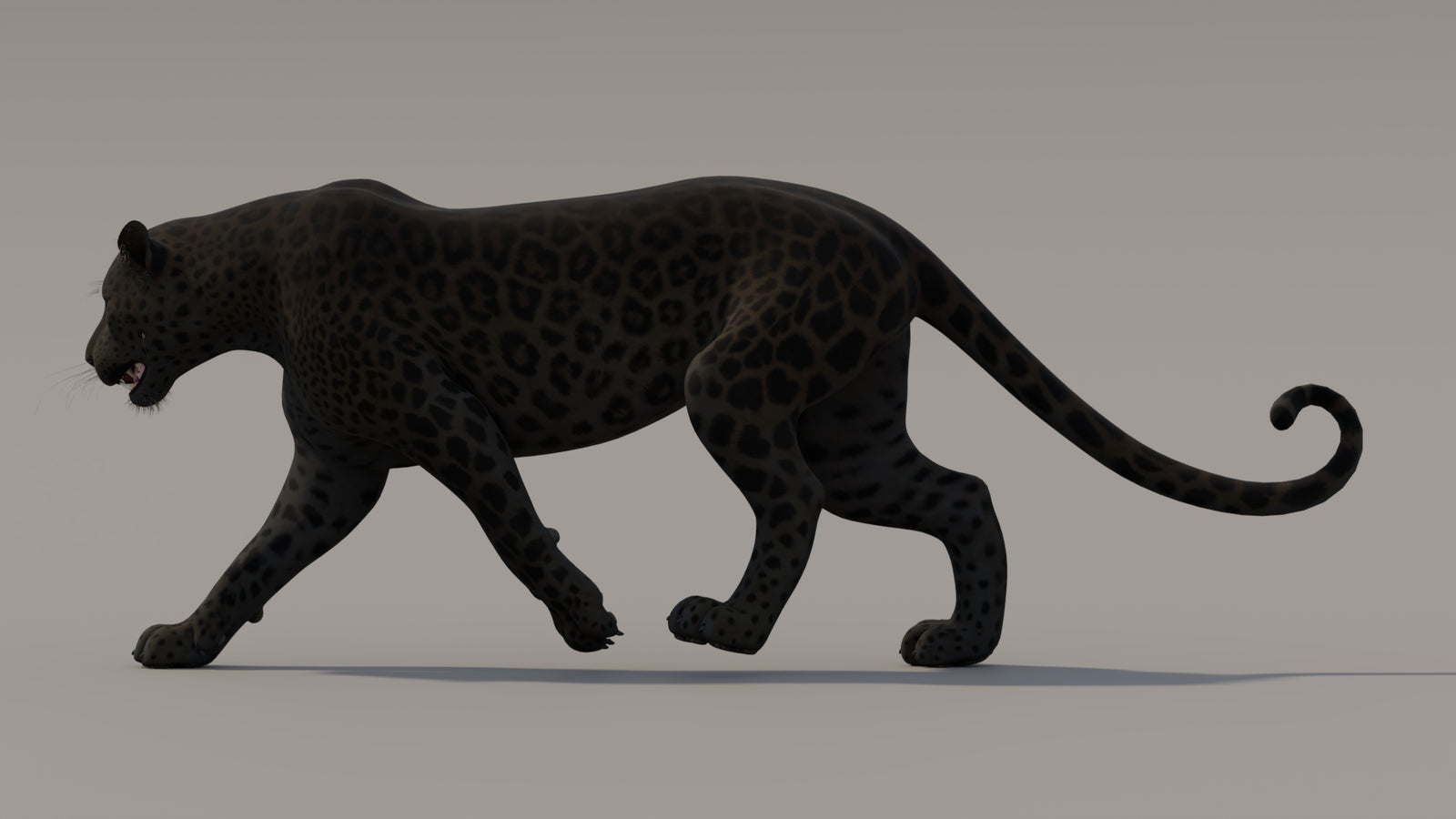 Animated Black Panther 3D Model 360° view 3 frame 13