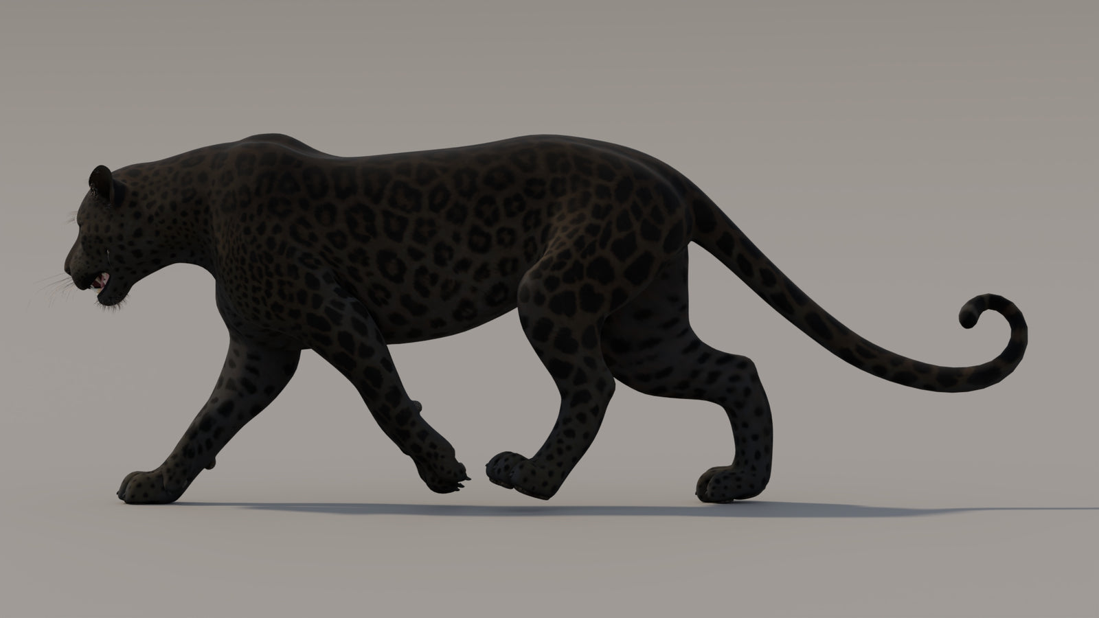 Animated Black Panther 3D Model 360° view 3 frame 14