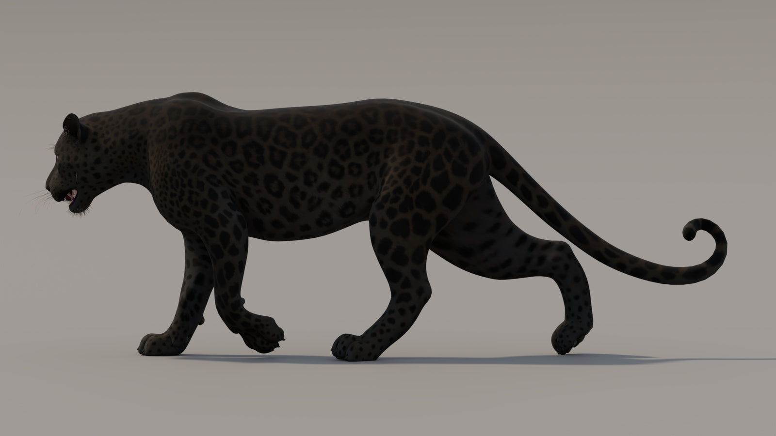 Animated Black Panther 3D Model 360° view 3 frame 18