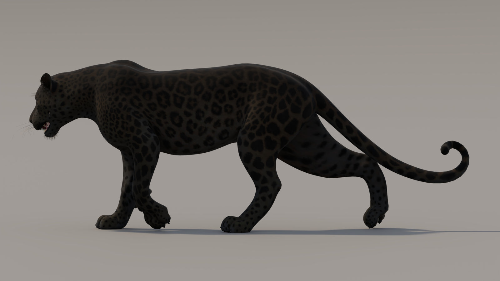 Animated Black Panther 3D Model 360° view 3 frame 19