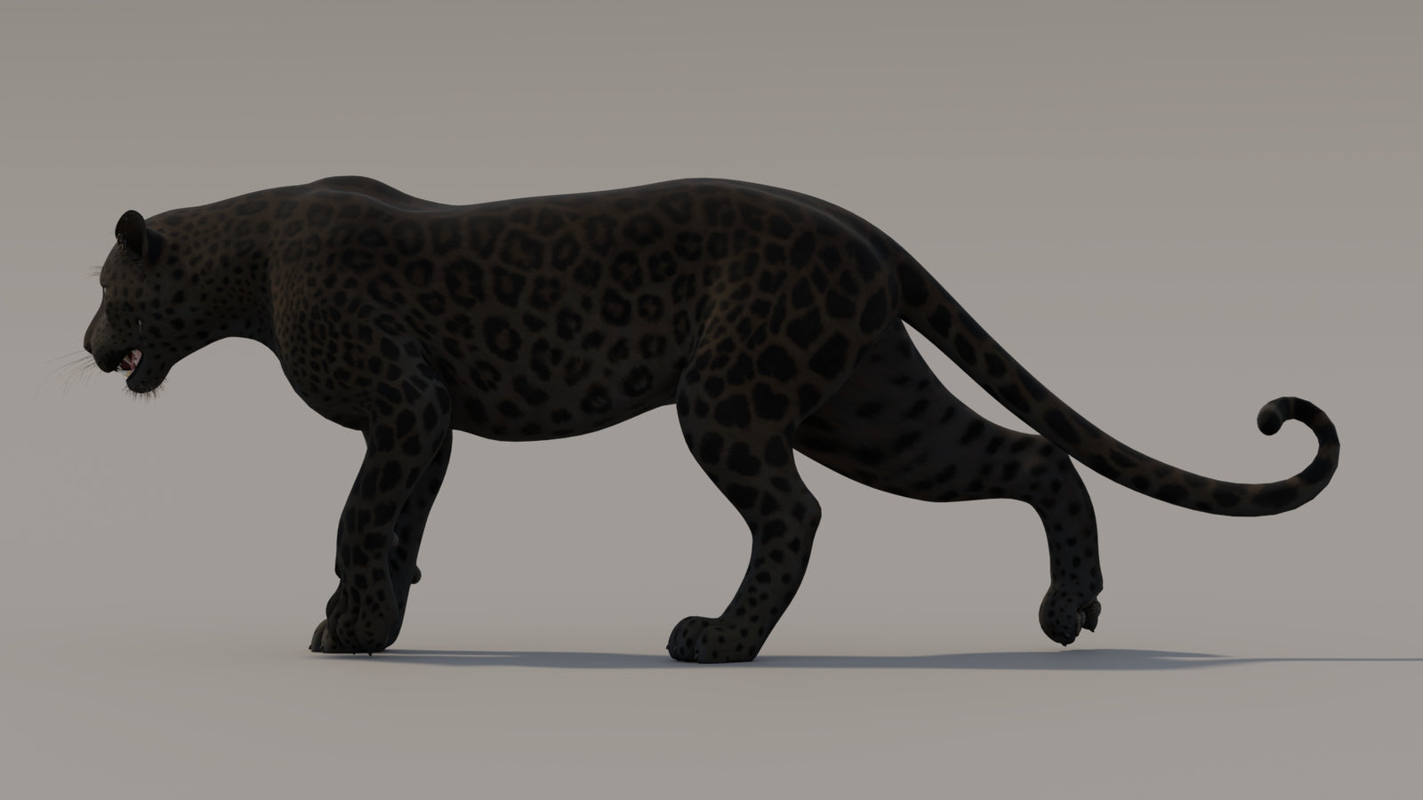 Animated Black Panther 3D Model 360° view 3 frame 21