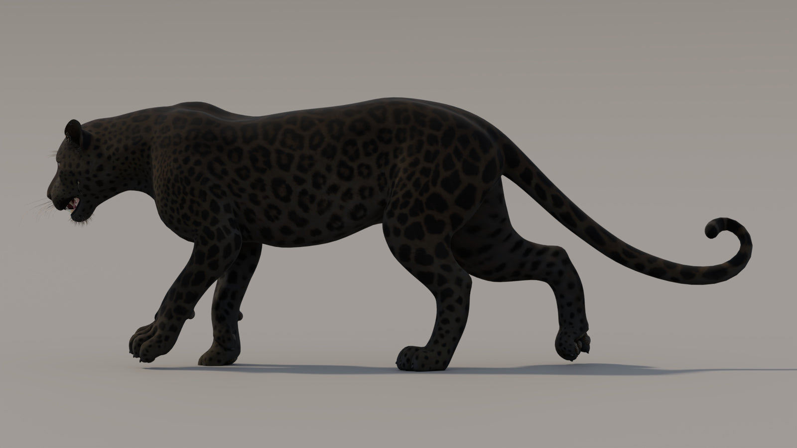 Animated Black Panther 3D Model 360° view 3 frame 23