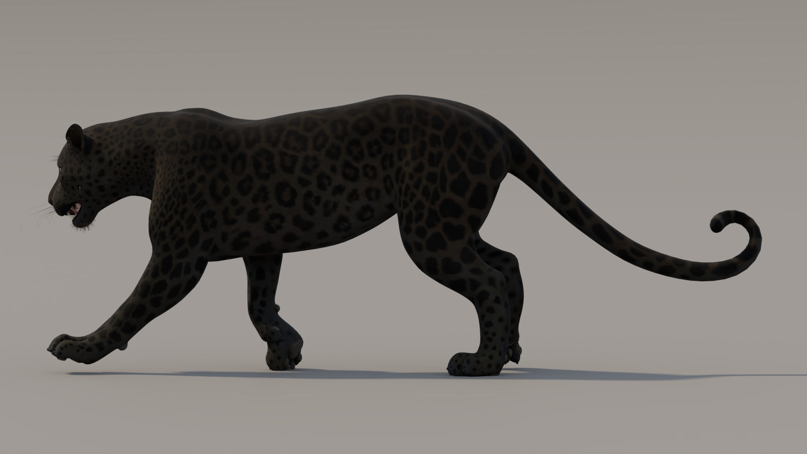 Animated Black Panther 3D Model 360° view 3 frame 26