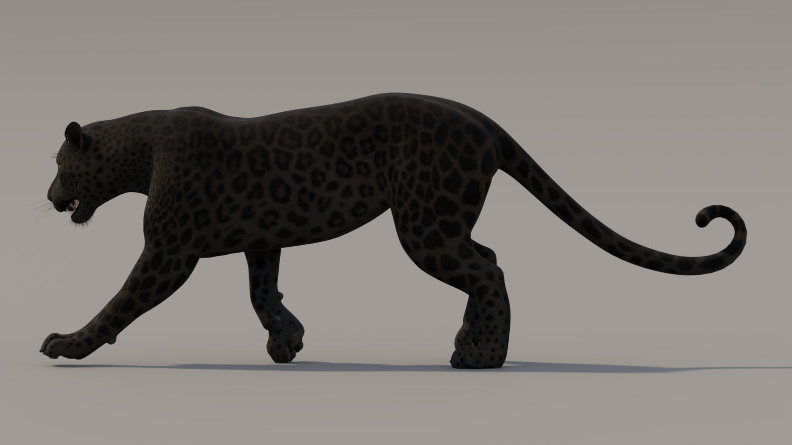 Animated Black Panther 3D Model 360° view 3 frame 27