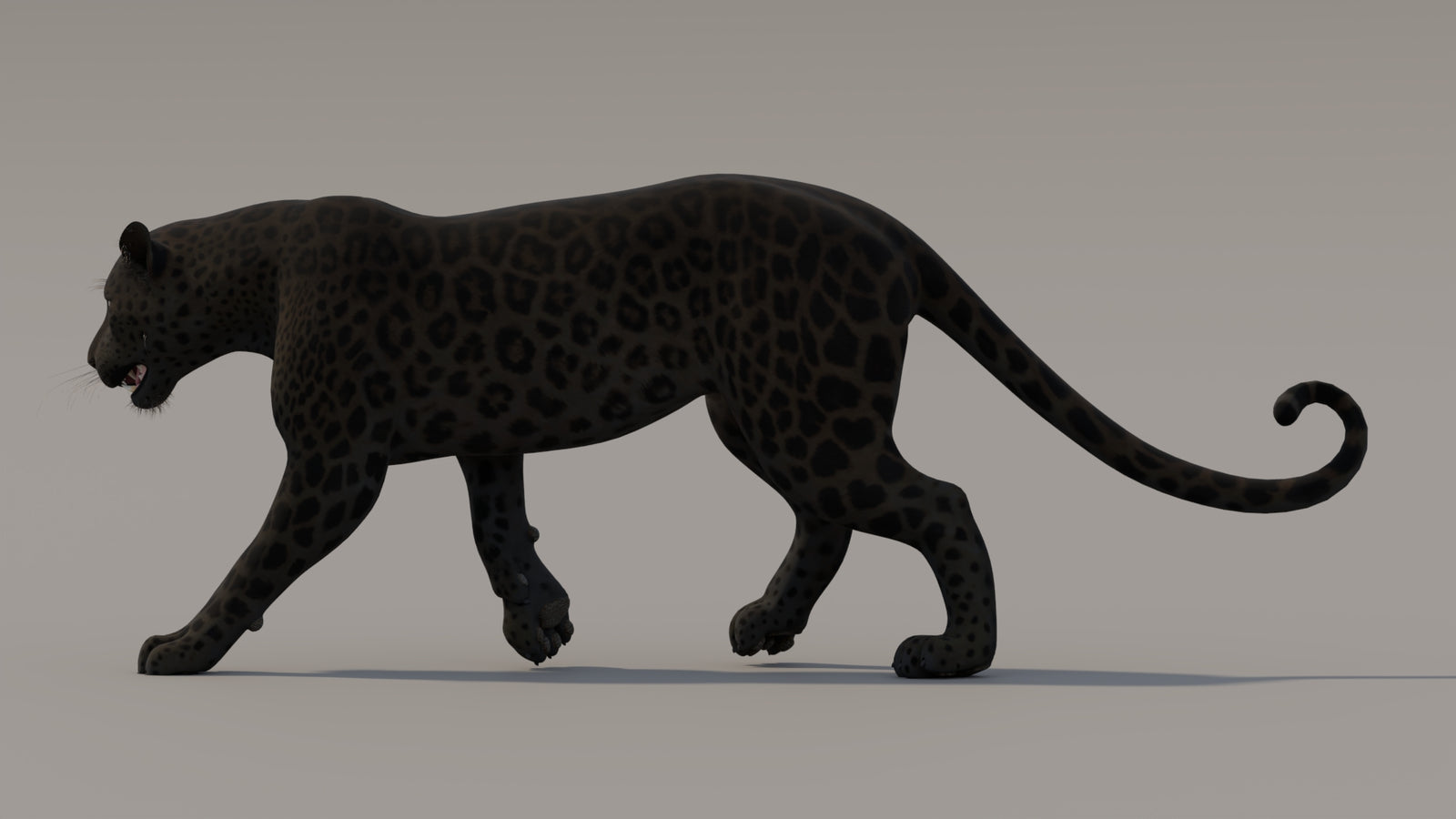 Animated Black Panther 3D Model 360° view 3 frame 30