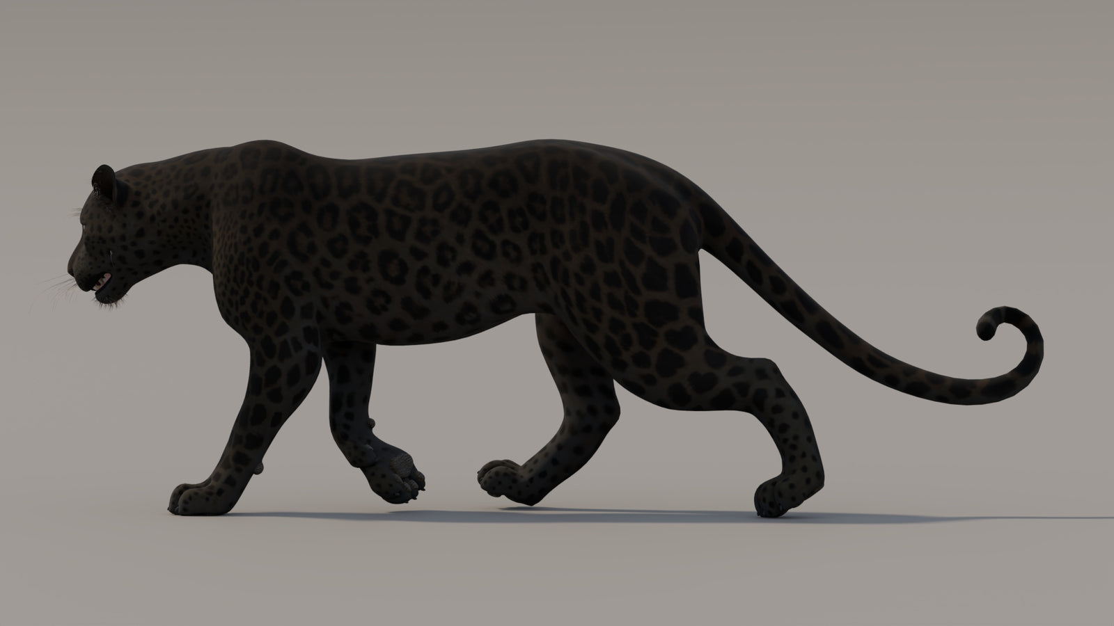 Animated Black Panther 3D Model 360° view 3 frame 33