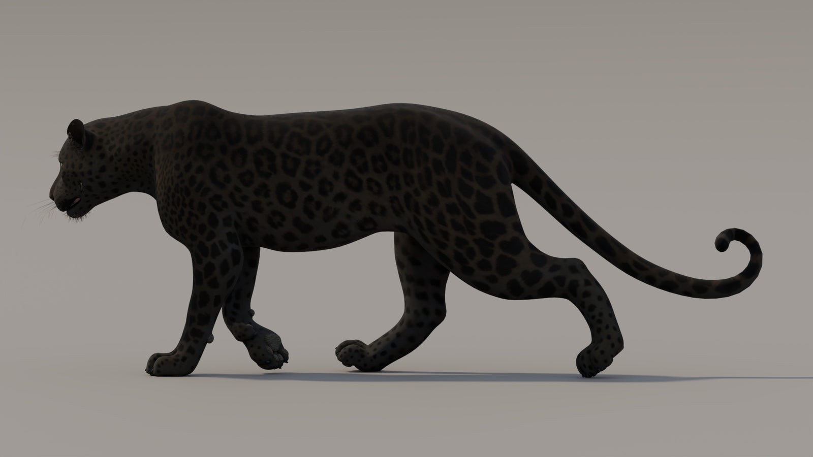 Animated Black Panther 3D Model 360° view 3 frame 35