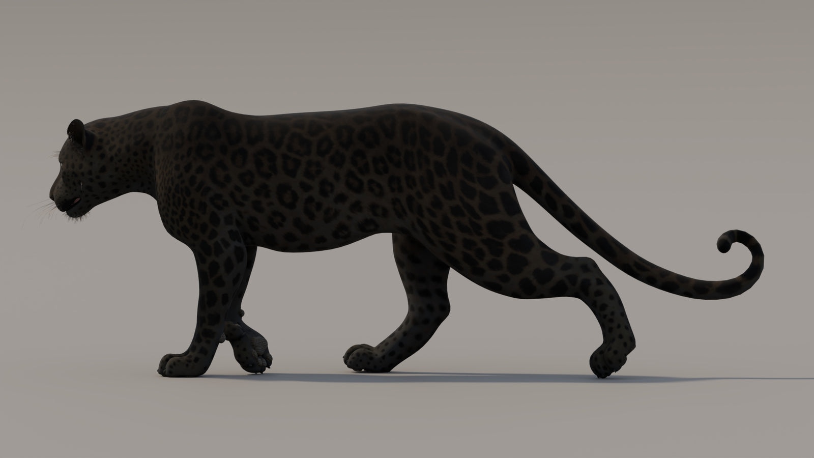 Animated Black Panther 3D Model 360° view 3 frame 36