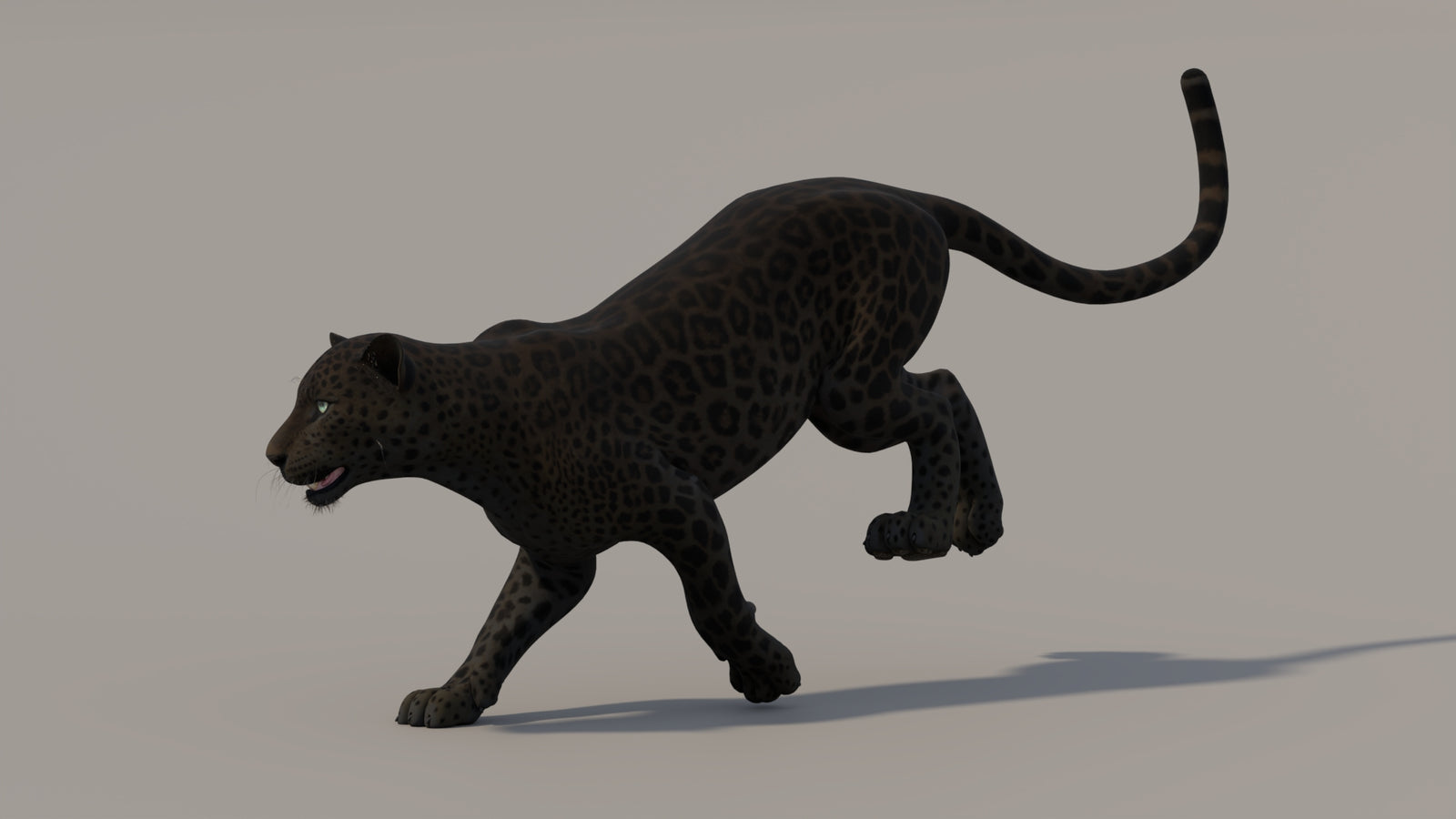 Animated Black Panther 3D Model 360° view 5 frame 4