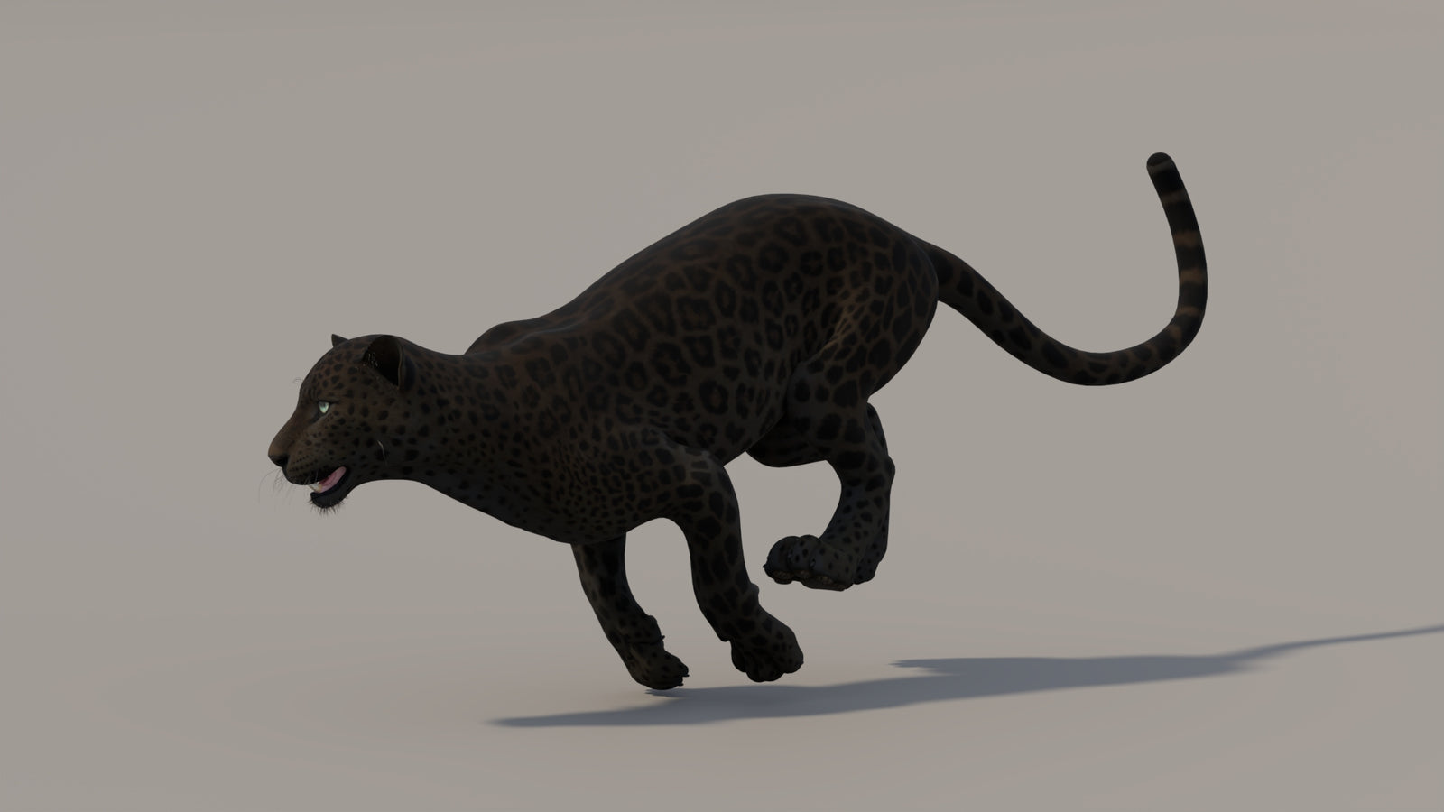 Animated Black Panther 3D Model 360° view 5 frame 5