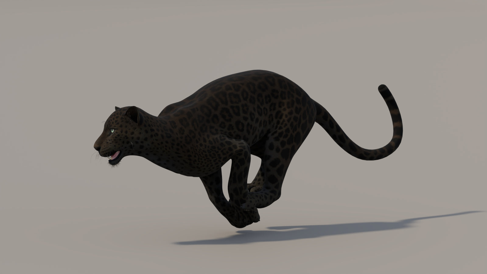 Animated Black Panther 3D Model 360° view 5 frame 6