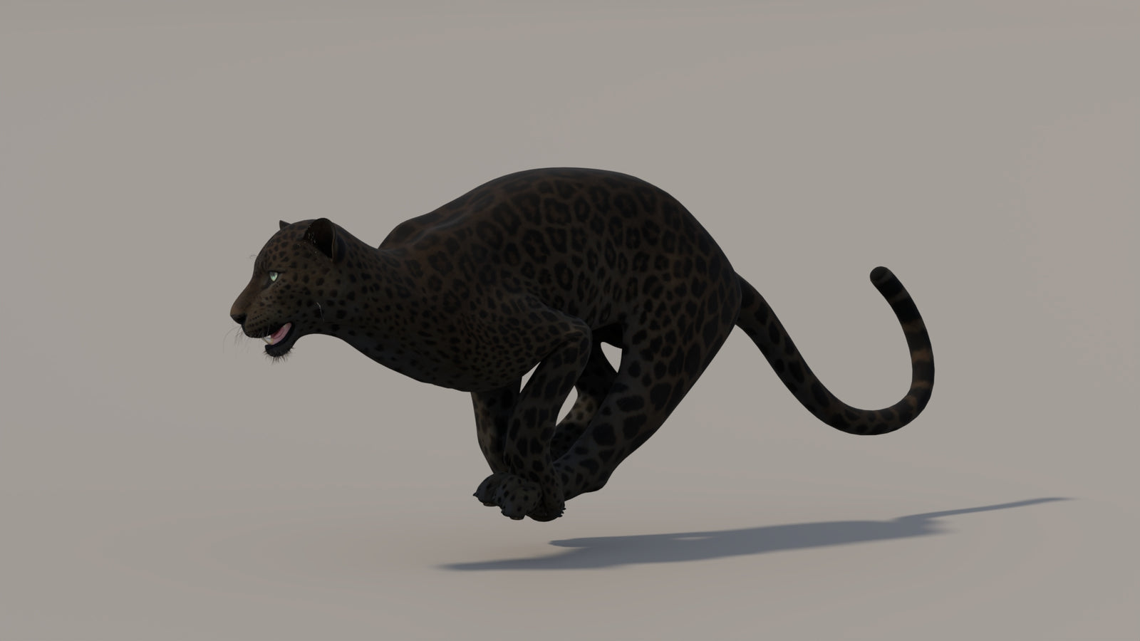 Animated Black Panther 3D Model 360° view 5 frame 7
