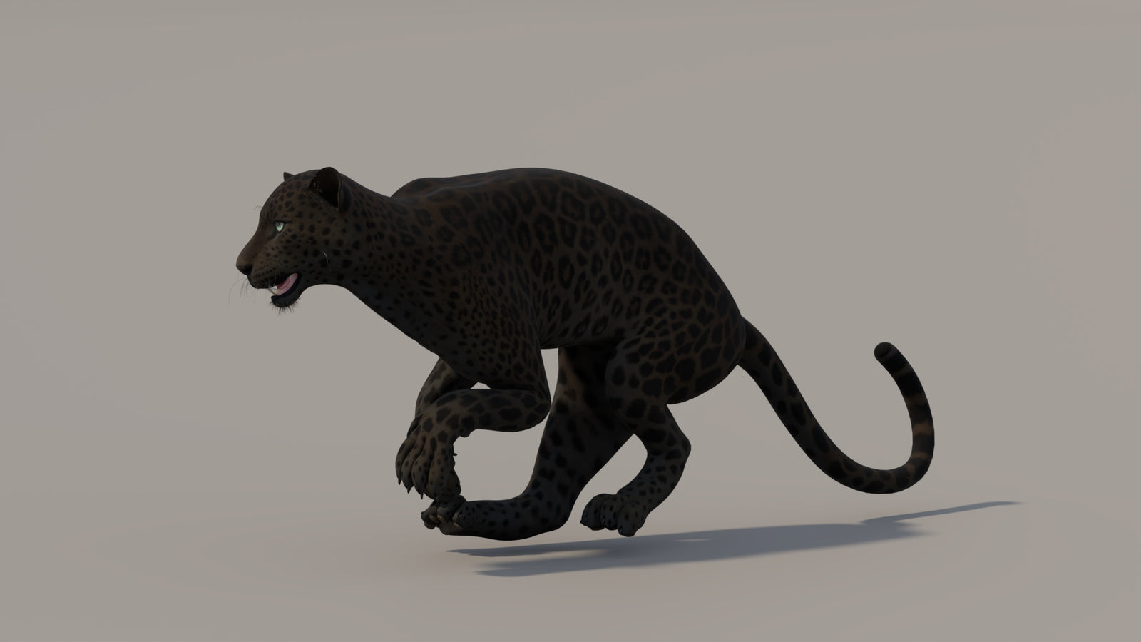 Animated Black Panther 3D Model 360° view 5 frame 9