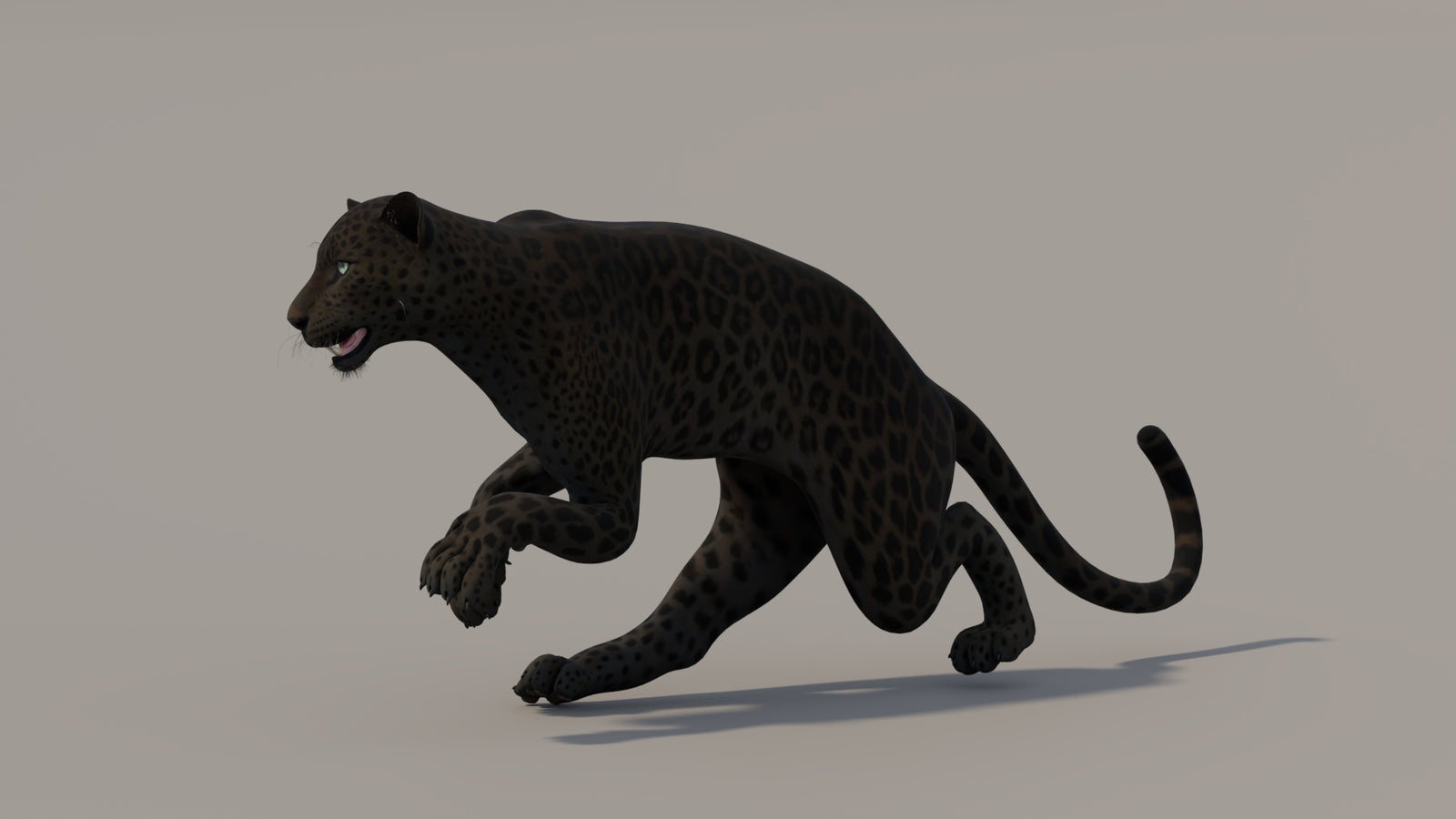 Animated Black Panther 3D Model 360° view 5 frame 10