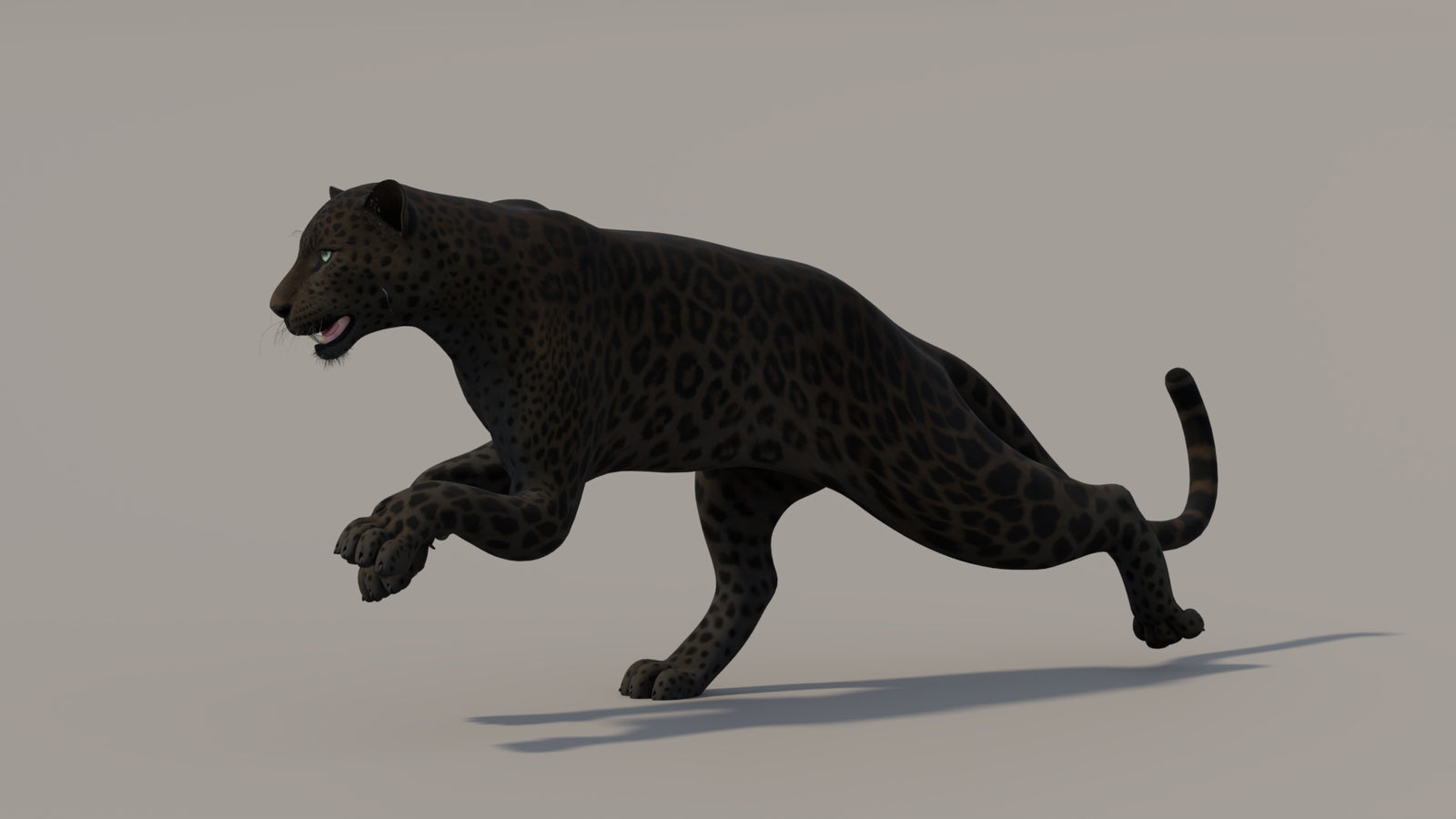 Animated Black Panther 3D Model 360° view 5 frame 11
