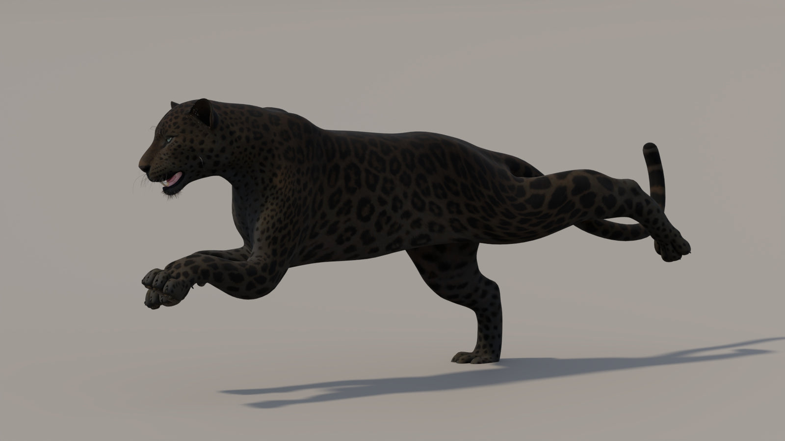Animated Black Panther 3D Model 360° view 5 frame 12