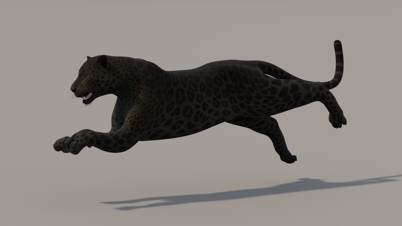 Animated Black Panther 3D Model 360° view 5 frame 13