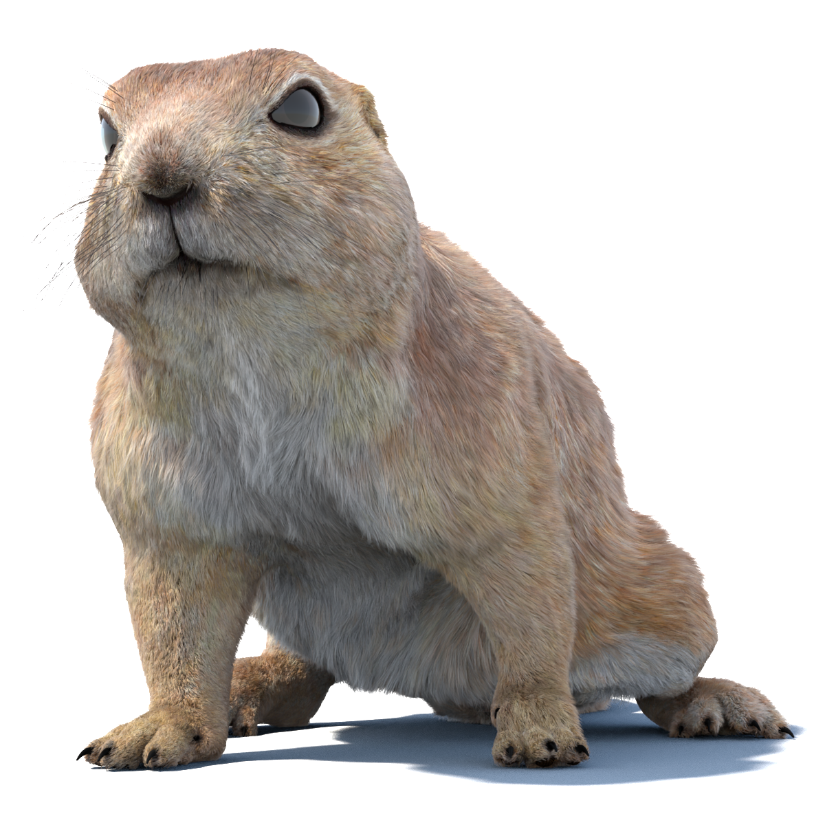 Animated Prairie Dog 3D Model with Fur