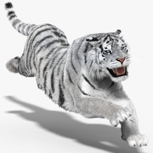 Animated Siberian White Tiger 3D Model with Fur