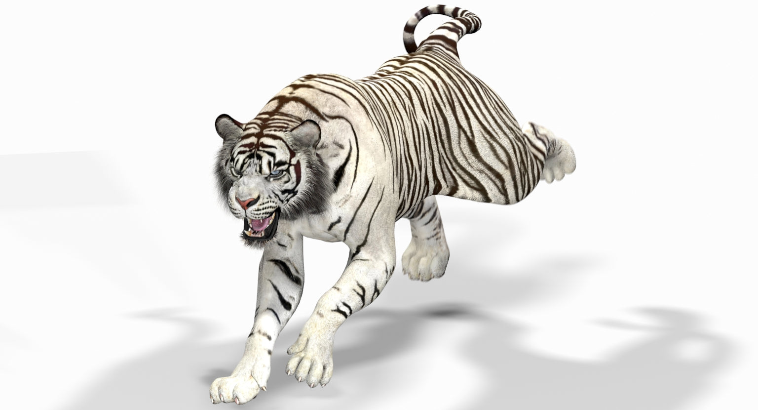 Animated White Tiger 3D Model