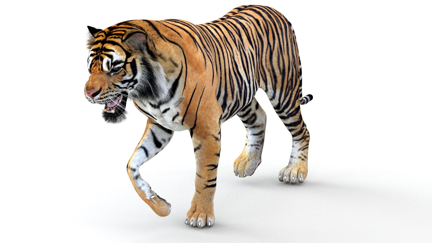 Big Cats Game-Ready 3D Model Bundle: Rigged and Animated