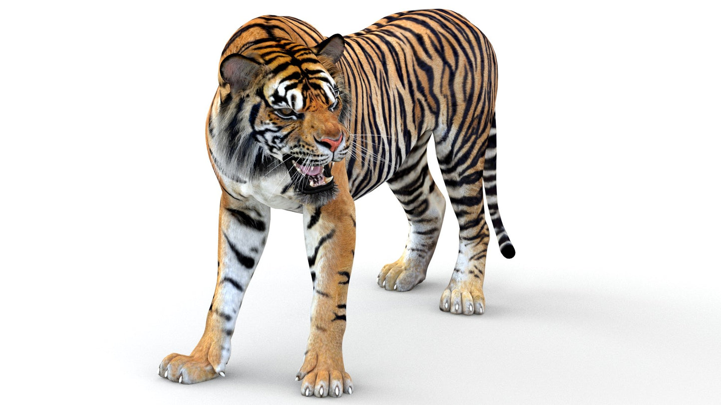 Big Cats Game-Ready 3D Model Bundle: Rigged and Animated