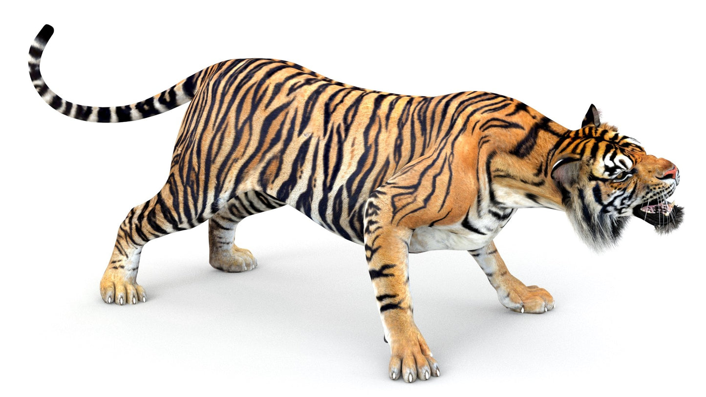 Big Cats Game-Ready 3D Model Bundle: Rigged and Animated