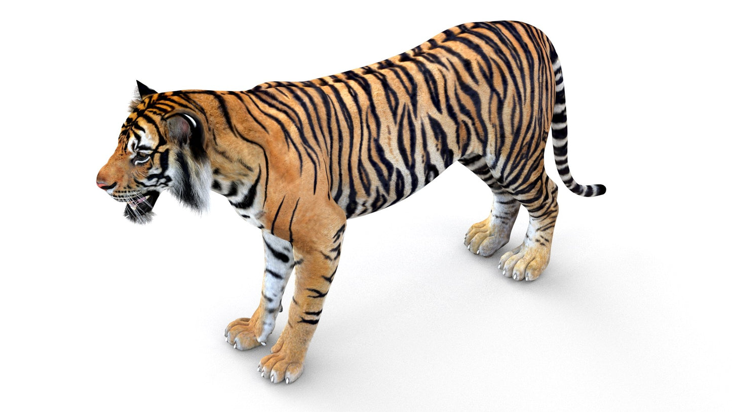 Big Cats Game-Ready 3D Model Bundle: Rigged and Animated