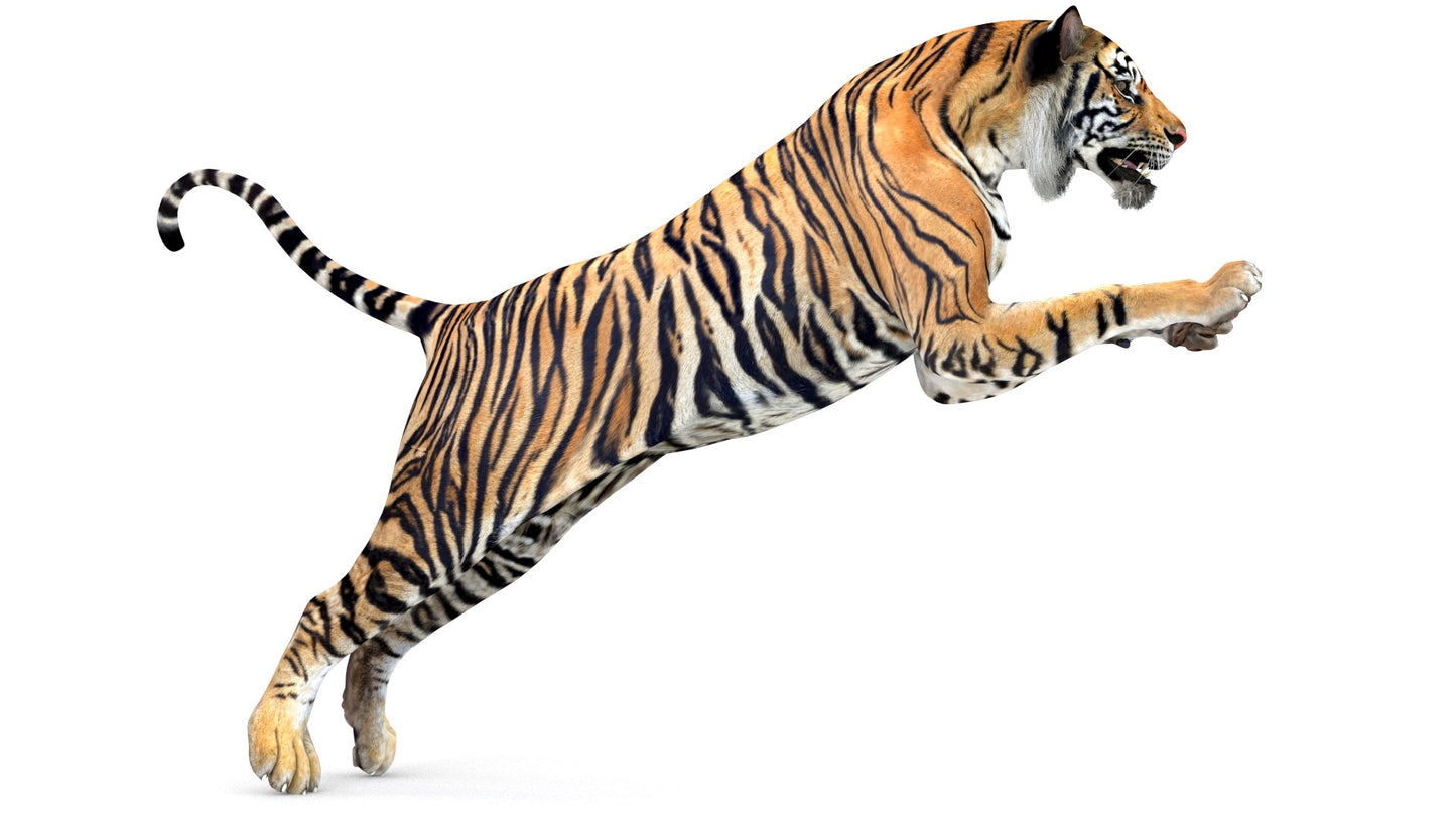 Big Cats Game-Ready 3D Model Bundle: Rigged and Animated