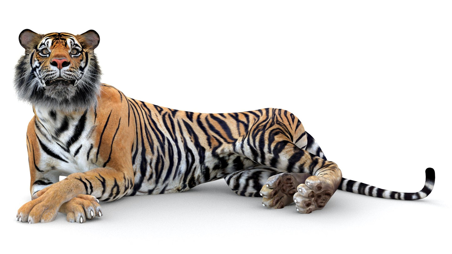 Big Cats Game-Ready 3D Model Bundle: Rigged and Animated