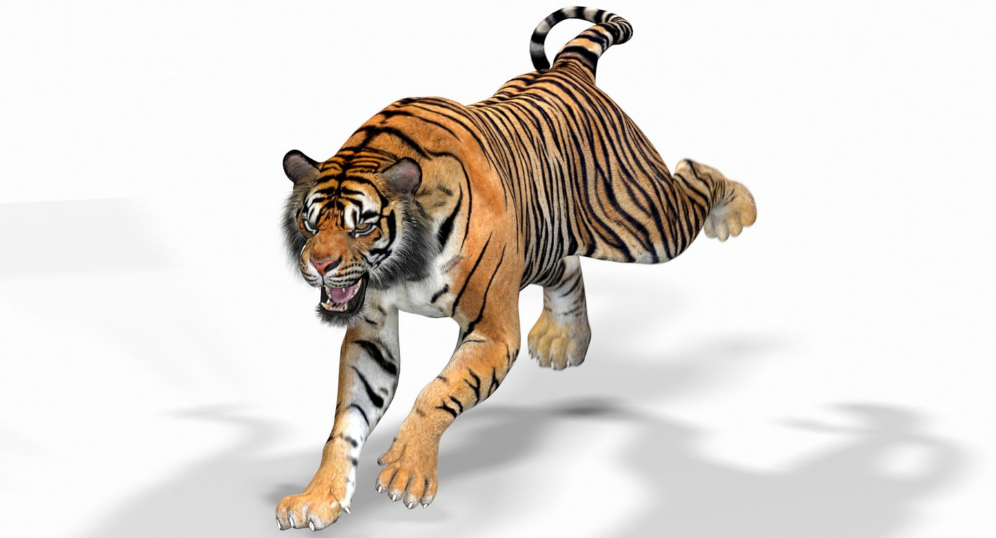 Big Cats Game-Ready 3D Model Bundle: Rigged and Animated