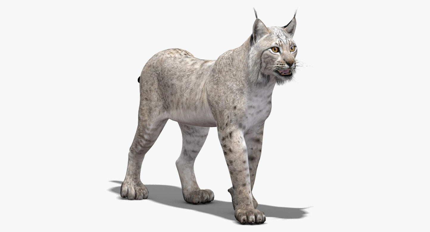 3D rendering of a lynx on a white background