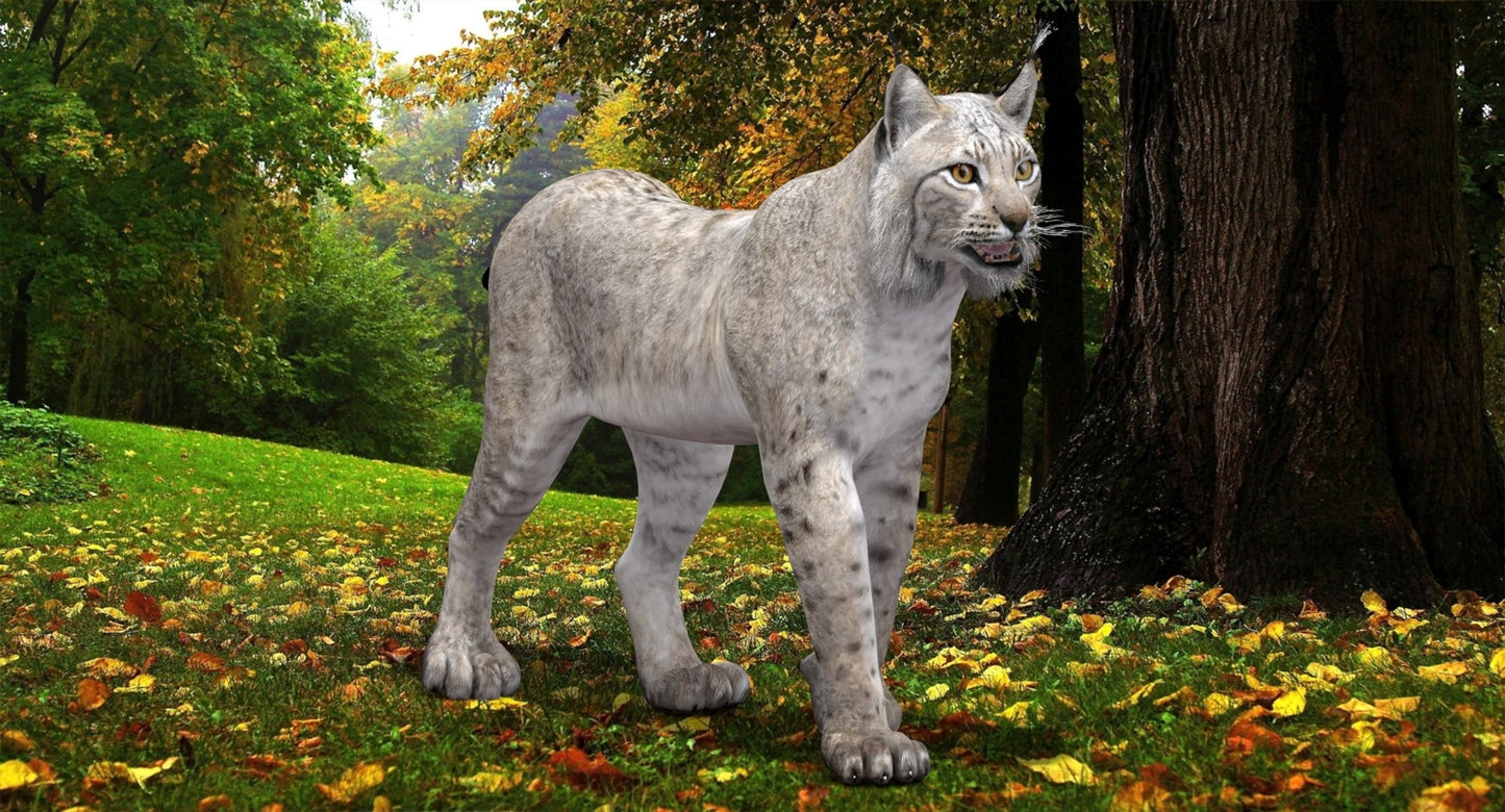 Gray lynx standing in a forest with trees and fallen leaves in the background