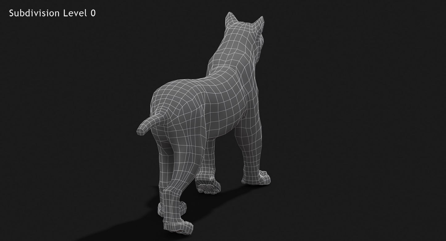 Animated White Lynx 3D Model