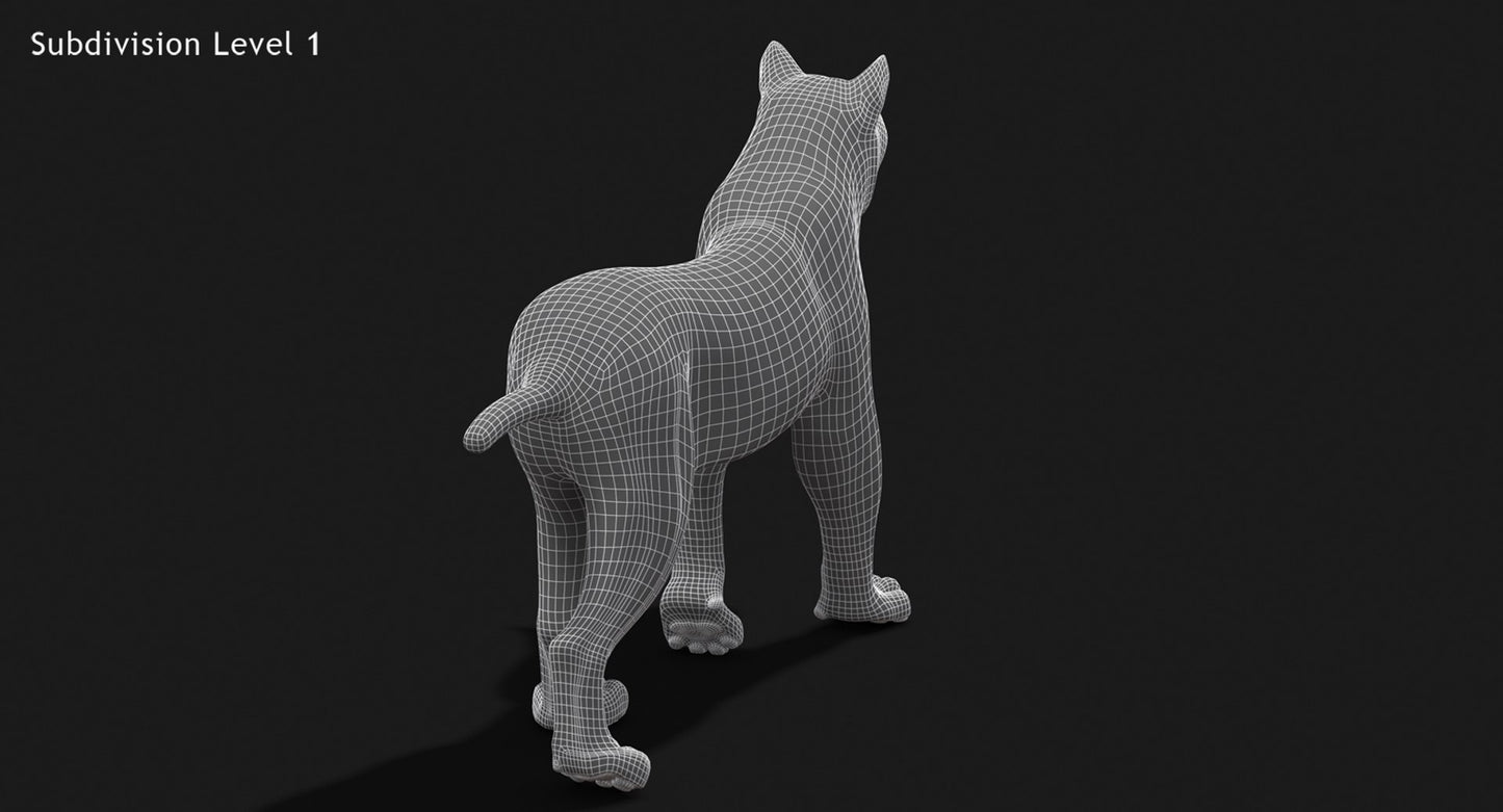 Animated White Lynx 3D Model