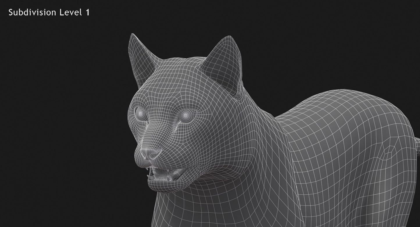 Animated White Lynx 3D Model