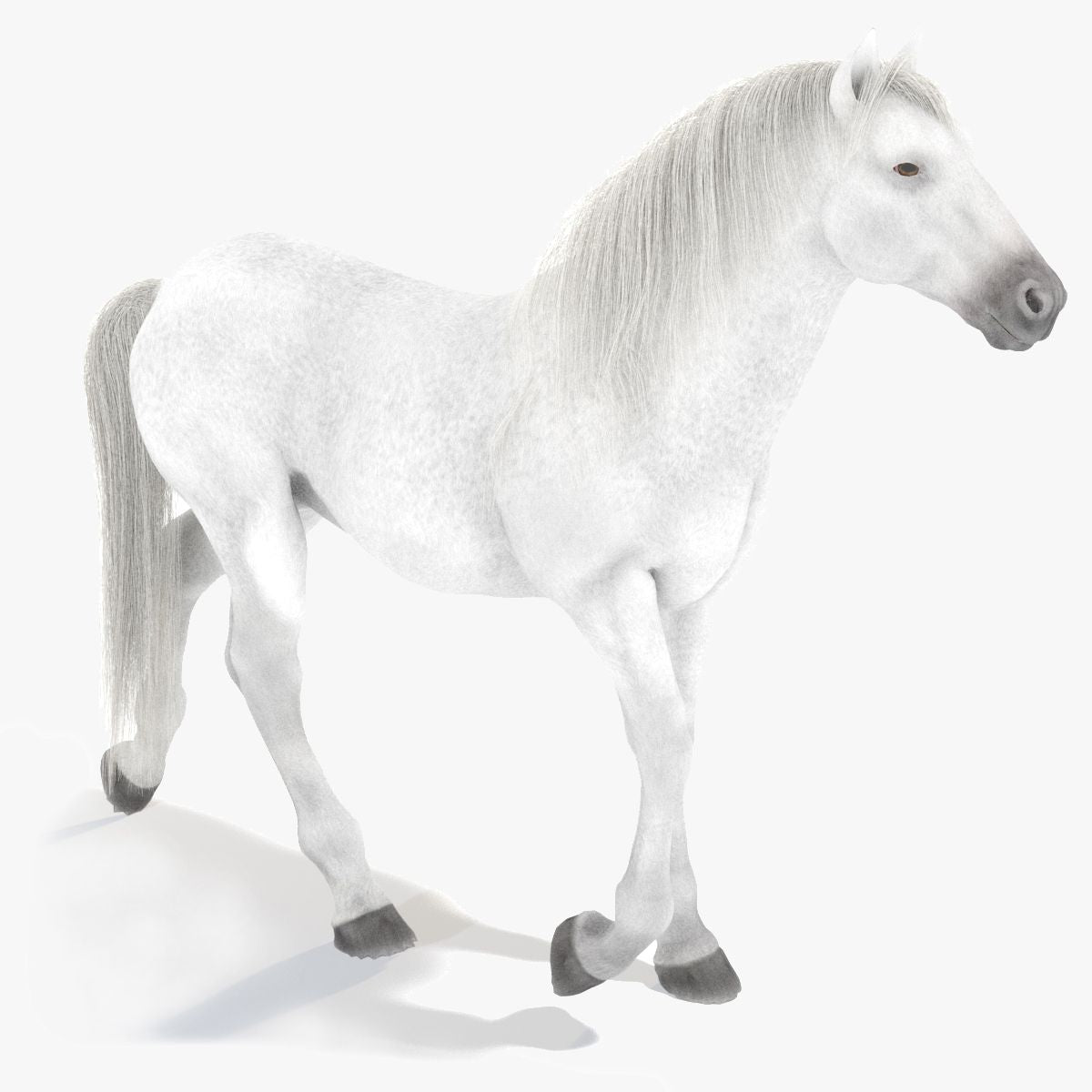 Animated White Horse 3D Model