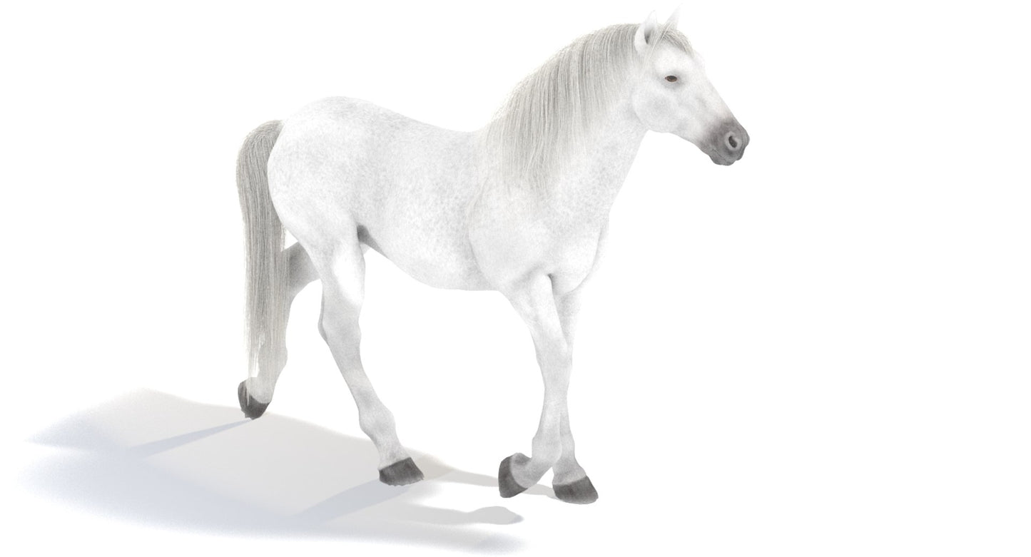 Animated White Horse 3D Model