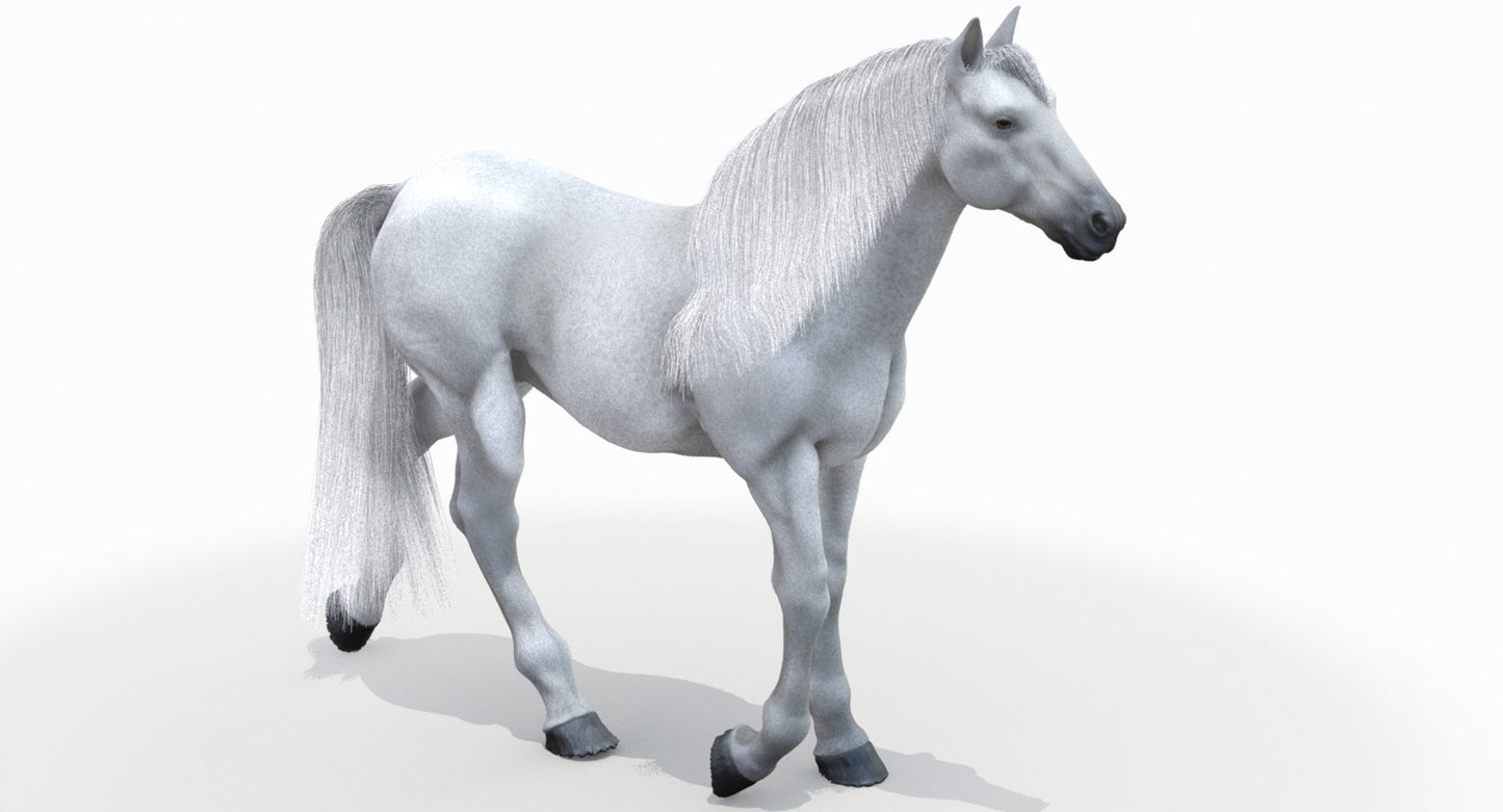 Animated White Horse 3D Model
