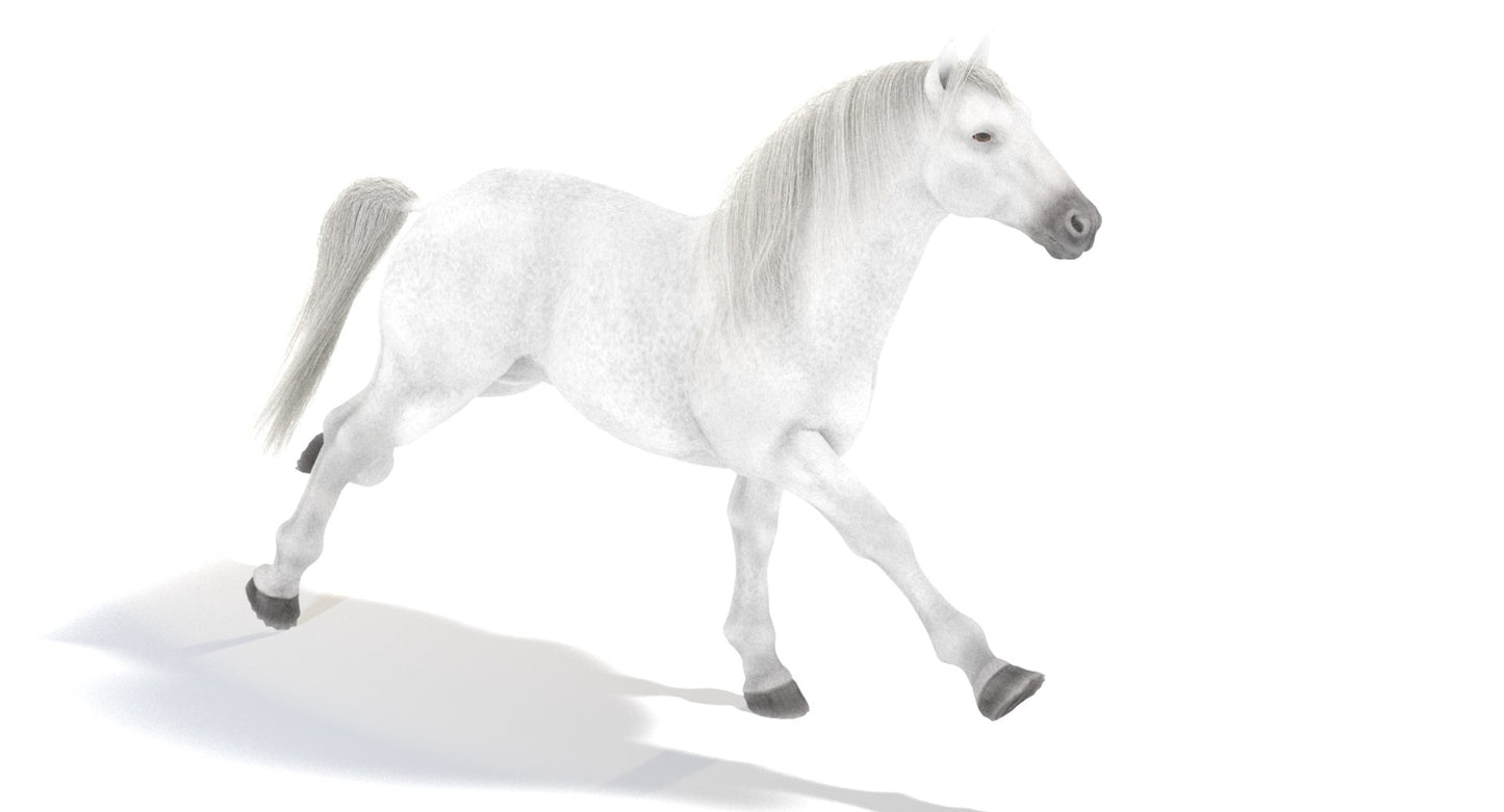 Running White Horse 3D Model