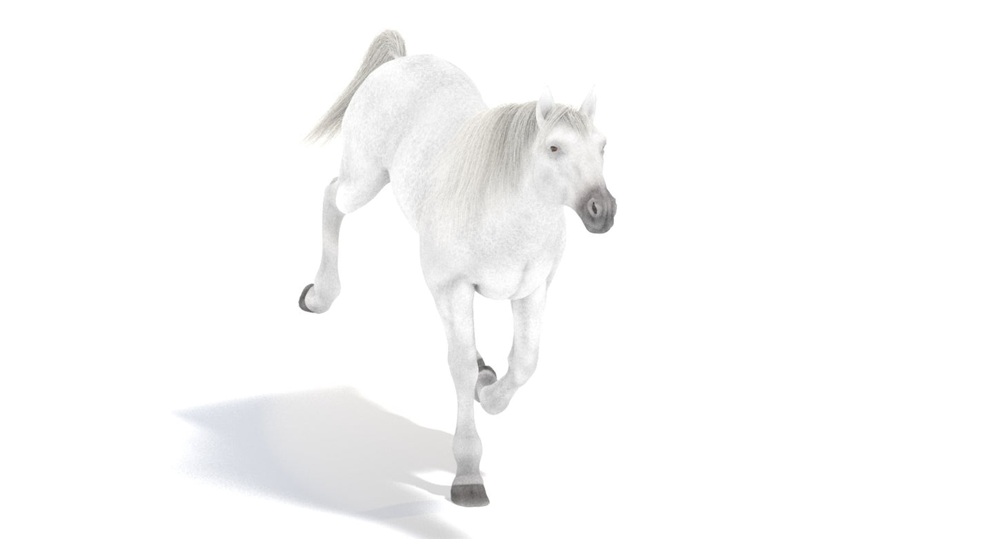 Animated White Horse 3D Model
