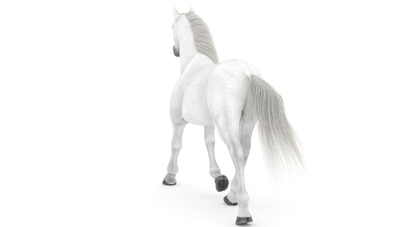 Animated White Horse 3D Model
