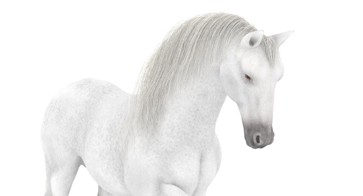 Animated White Horse 3D Model Close Up