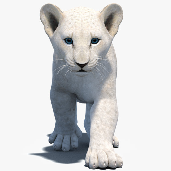 Animated White Lion Cub 3D Model